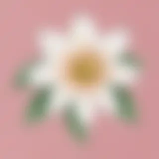 flower drawwing