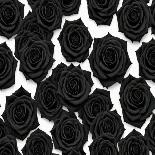 black roses background