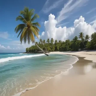 png beach