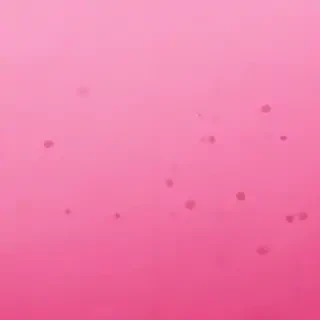 pink wallpaper for iphone