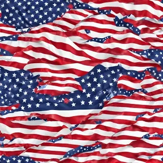 usa png
