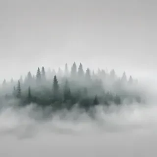 fog transparent background