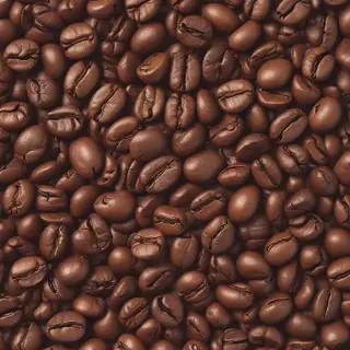 coffee bean png