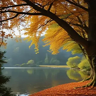 picturesque