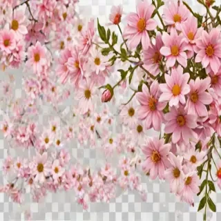 aesthetic flowers transparent background