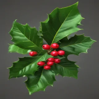 holly png