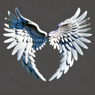 angel wing png
