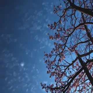 blue aesthetic pic