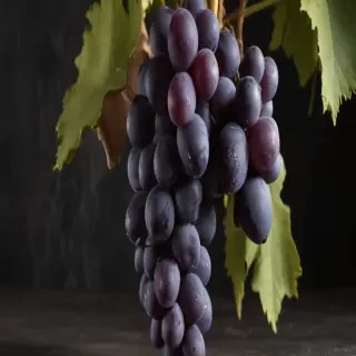 grapes png
