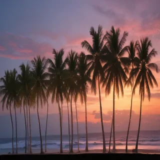 transparent palm trees