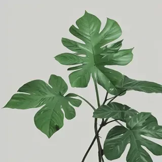 green aesthetic png