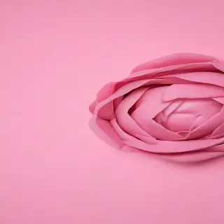 pink cover photo