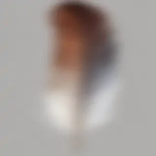 feather png