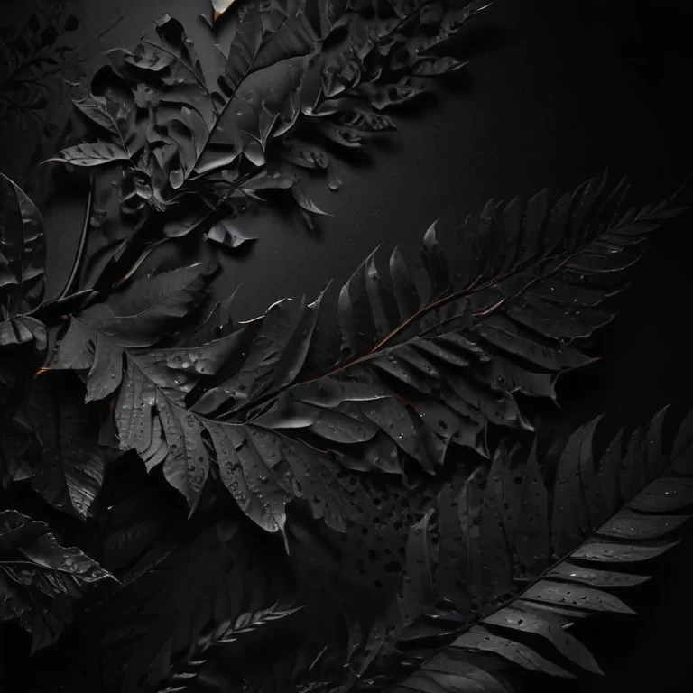 black wallpaper for iphone