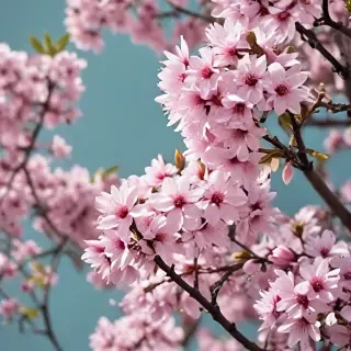 spring phone wallpaper