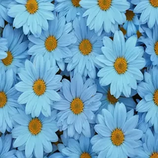 blue flower background
