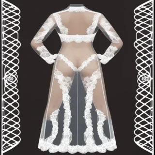 lace transparent png