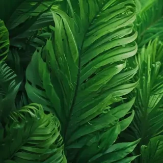 green iphone wallpaper