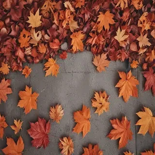 fall wallpaper iphone aesthetic