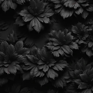 black wallpaper for iphone