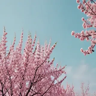 aesthetic spring wallpaper