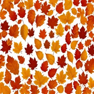 fall leaves png