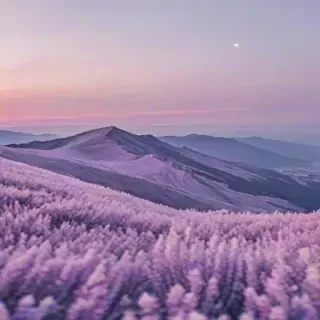 aesthetic fb cover