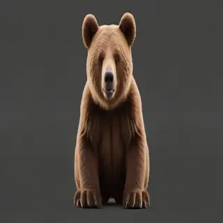 png bear
