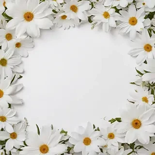 white background with flowers