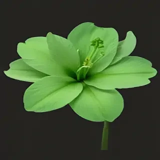 green flower png