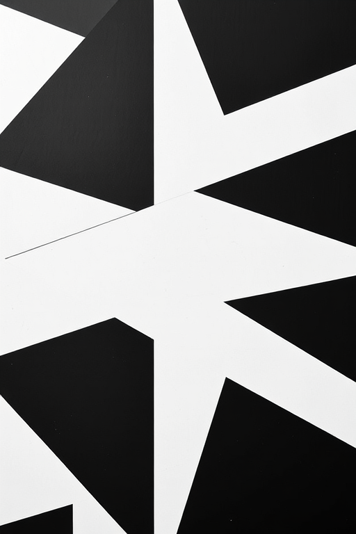 Create an abstract black and white pattern featuring geometric shapes and lines, using a DSLR camera with a 50mm lens, aperture set to f/1.8, ISO 100, and a high-resolution setting to enhance image quality, captured from a top-down view with natural lighting.