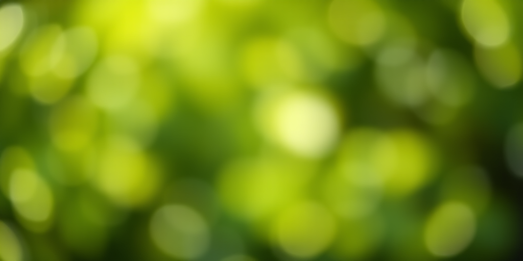 soft green bokeh background, aperture f/2.8, shutter speed 1/125, ISO 200, 50mm lens, shallow depth of field, shot from eye level, DSLR camera, high resolution