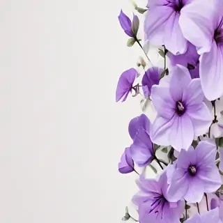 purple flowers transparent background