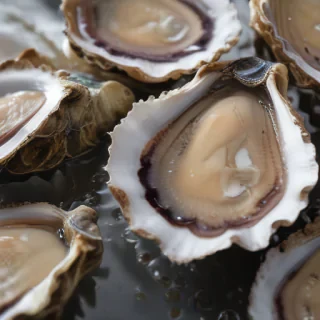 oysters png