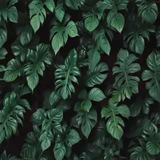 aesthetic plant wallpaper