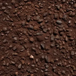 soil png