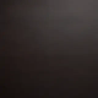 leather background