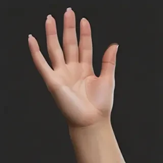 hand reaching png