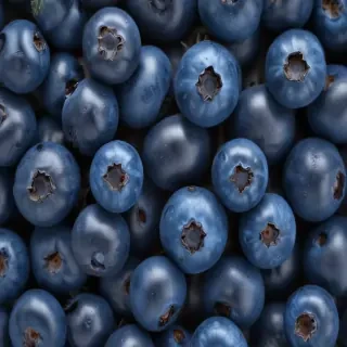 blueberry png
