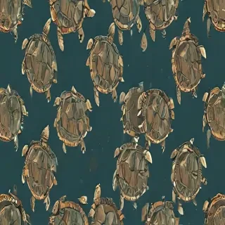 turtle background