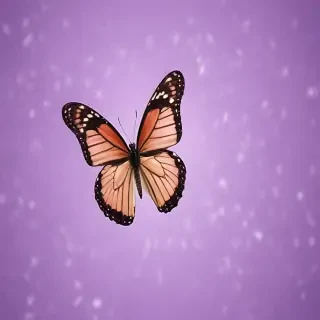 butterfly purple background