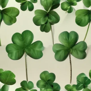 4 leaf clover png