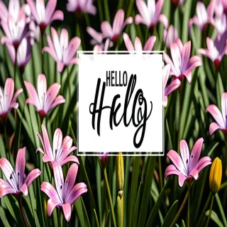 hello may images