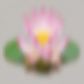 lotus png