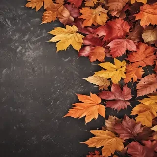 fall background wallpaper iphone