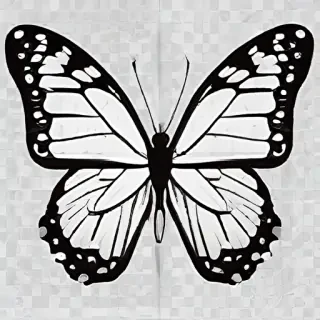 butterfly png outline