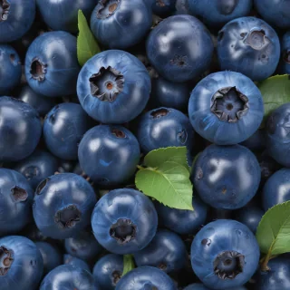 blueberry png