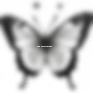 butterly drawing