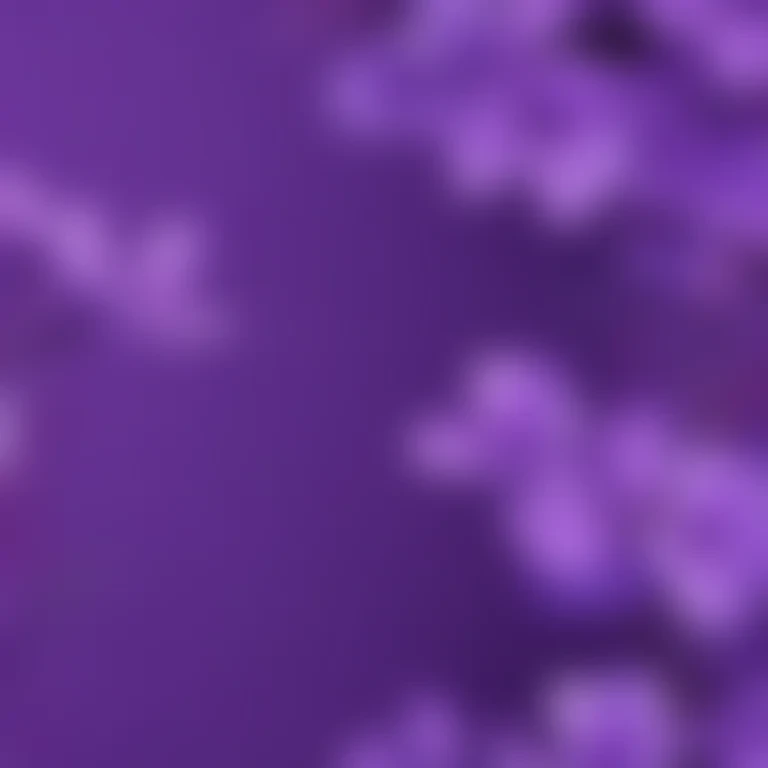 purple background cute