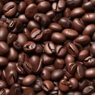 coffee bean png